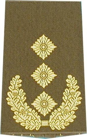 Rangabzeichen, Bw Heer oliv/gold Gen-Lt.
