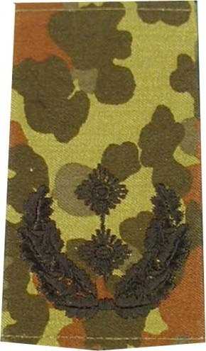 Rangabzeichen, Bw Heer flecktarn/schwarz Oberstleutnant