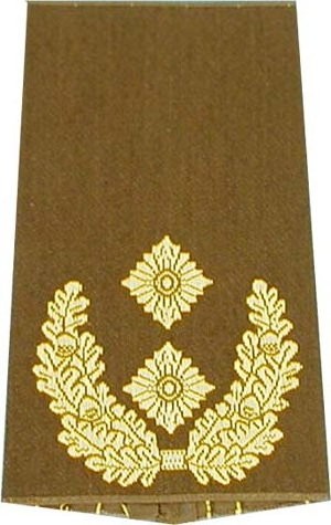 Rangabzeichen, Bw Heer oliv/gold General-Major