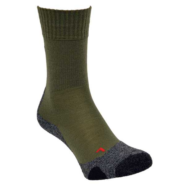 Socken, (NL) FALKE "TK2 Sommer" grün neu