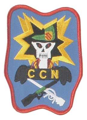 Stoffabzeichen, US "Command and Control North"